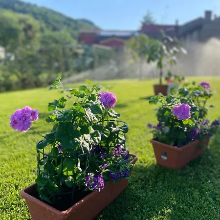 Apartamento Giardino Di Lei, Giallo