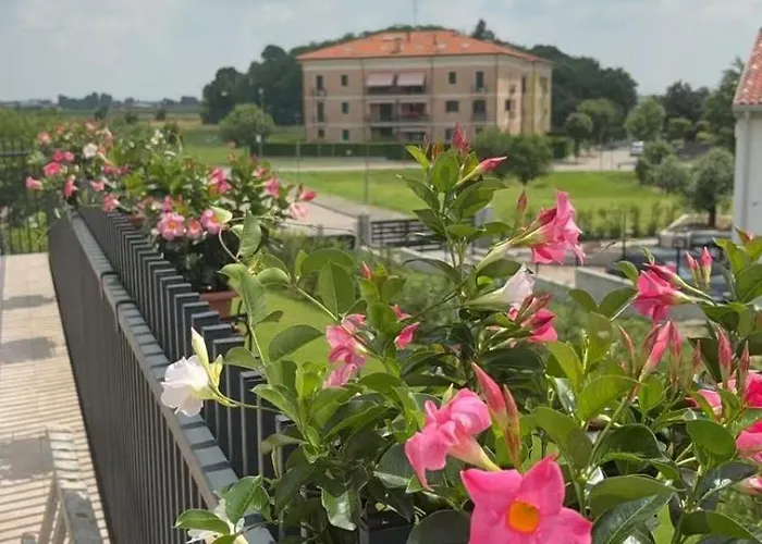 Giardino Di Lei, Giallo Montegrotto Terme